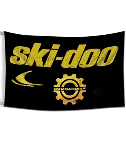 Ski Doo 600 Ho Clutch At Joshua Calyute Blog - Foto 10