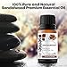 SenseLAB Indian Sandalwood Essential Oil - Wellness and Relaxation - Fragrance Oil - 100% Pure Extract Therapeutic Grade Sandalwood Oil for Aromatherapy Diffuser (10 ml)