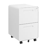 LVSTEEL 2 Drawer File Cabinet with Lock and 4 Keys, Mobile Metal Filing Cabinet, File Cabinets for Home Office, Under Desk, Pre-Assembly, File Drawer, Letter/Legal/A4 Hanging File Folders