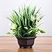 Binnny Flower Artificial Potted Plant with Gardenia Flowers in Brown Plastic Planter for Home, Office, Indoor and Outdoor Occasions Decor