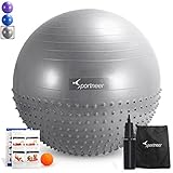 Sportneer Excercise Ball Anti-burst Dual-sided Balance Yoga Ball with Pump, Massage Ball, Workout Guide and Carrying Bag, Silver, 65cm