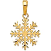JewelryWeb 14k Yellow Gold Solid Polished 3-D Snowflake Pendant Necklace 20.6x13.7mm Pendant for Women