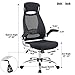 JUMEI Adjustable High Back Mesh Executive Desk Chair-Model Office Chair with Lumbar Support,Black