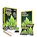 NATIONAL GEOGRAPHIC Glow-in-the-Dark Crystal Growing Lab - DIY Crystal Creation - Includes Real Fluorite Crystal Specimen primary