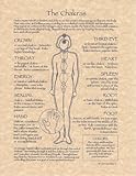 Chakras Poster parchment