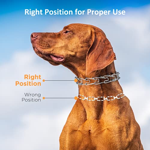 PATPET Dog Prong Collar, Dog Choke Pinch Training Collar, Adjustable Stainless Steel Links with Rubber Tips, Quick… - Image 4