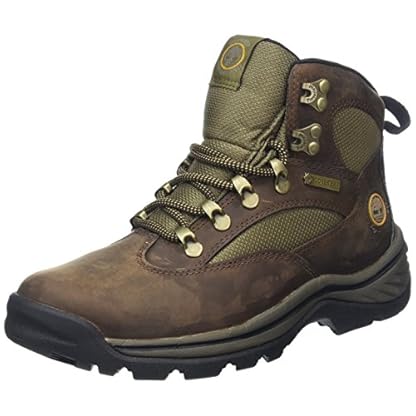 Timberland Chocorua Trail Goretex Waterproof, Women’s Chukka Boots, Brown (Dark Brown/Green), UK (36 EU)