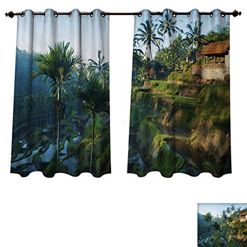 Balinese Blackout Curtains Panels for Bedroom Terrace Rice Fields Palm Trees Traditional Farmhouse Morning Sunrise Bali Indonesia Decorative Curtains For Living Room Green W55 x L39 inch
