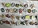 Disney Pins Trading Lot of 25 w/ No Duplicates Lapel Collector Pins Disneyland Pin