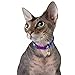 CollarDirect Leather Cat Collar, Cat Safety Collar with Elastic Strap, Kitten Collar with Bell Black Blue Red Orange Lime Green (8-11 Inch, Yellow)