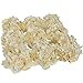 Luyue Silk Hydrangea Heads Artificial Decoration Flowers Garden Floral Decor,Pack of 10 (Champagne)