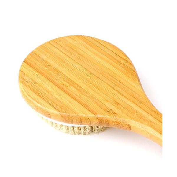 H&S Body Brush Back Scrubber Long Handle Bath Shower Brush Natural Bristles Dry Skin Exfoliating Cellulite Brush Bamboo…