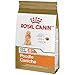 Royal Canin Breed Health Nutrition Poodle Caniche 8+ Adult Dry Dog Food, 3 lb bag