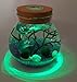 OMEM Aquarium Kits-Living Moss Ball,Valentine Gift Sea Fan, Gravel, Cone Seashell, Work Desk Decoration (Purple)