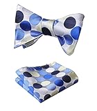 SetSense Men's Polka Dot Jacquard Woven Self Bow Tie Set