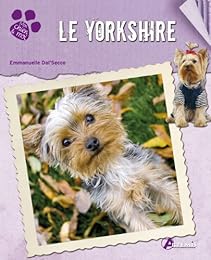 Le  yorkshire