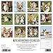Just Pembroke Corgis 2019 Wall Calendar (Dog Breed Calendar)