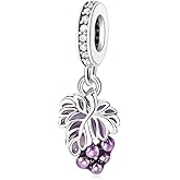 Artiyoo Grape Dangle Charm 925 Sterling Silver Charms Fit Women Bracelet And Necklaces Bead Charm Pendant Jewelry Gifts For Family Friends