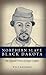 Northern Slave Black Dakota: The Life and Times of Joseph Godfrey by 