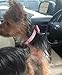 BINGPET BA2041 Diamond Bow Tie Crystal Rhinestone Pet Collar Designer Girl Boy Dog Collars-Pink