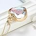Usstore 1PC Women Dry Flower Heart Glass Wishing Necklace Bottle Pendants Partty Gift Alloy (C)