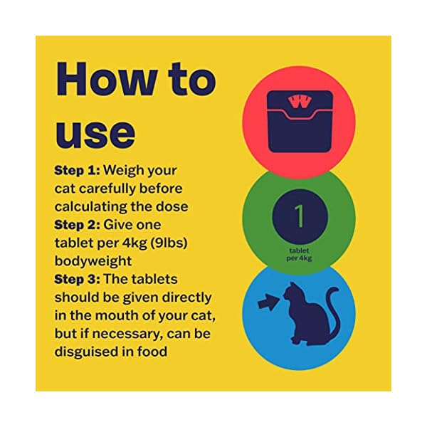 Bob Martin Clear | Cat Wormer Tablets, Suitable for Kittens | Clinically Proven Effective Treatment (2 Tablets)