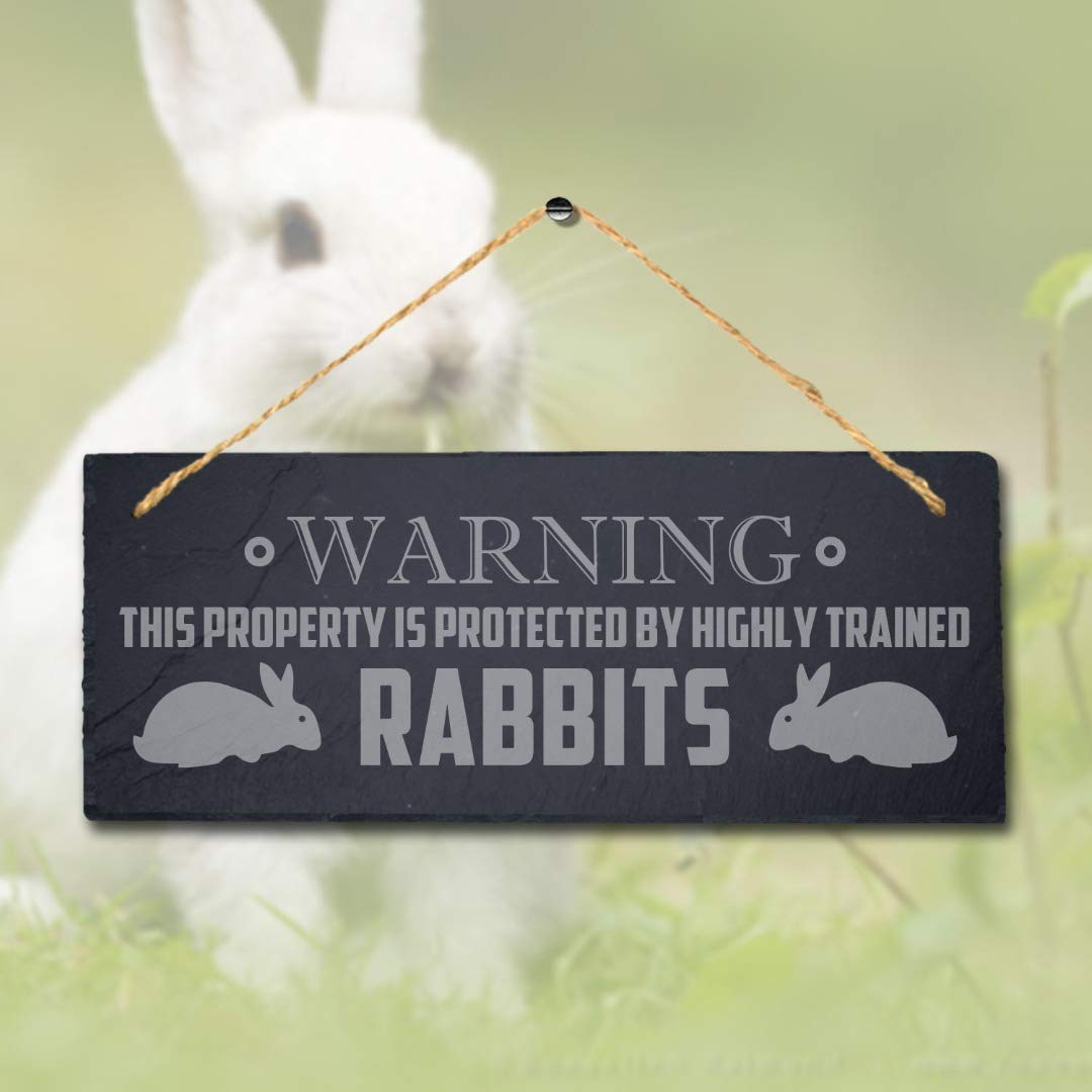 Stukk Warning Property is Protected by Trained Rabbits Hanging Bunny Sign, Natural Engraved Slate Stone Plaque, 30x12cm