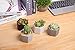 T4U 2.75 Inch Ceramic Six Sizes Semi Luster Surface Succulent Plant Pot/Cactus Plant Pot Flower Pot/Container/Planter Matte Black Package 1 Pack of 4