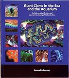 Giant Clams in the Sea and the Aquarium