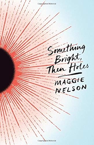 Download Something Bright, Then Holes PDF