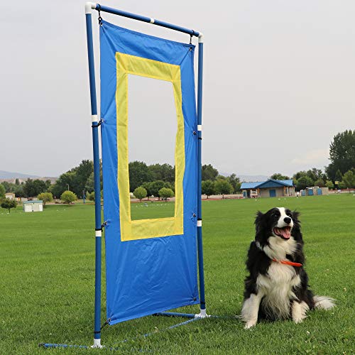 Better Sporting Dogs Window Jump | Dog Agility Window Jump | Schutzhund Window Jump