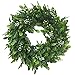 Coxeer Artificial Green Leaf Wreath, 10.25 Inches (About 26.0 Cm) Boxwood Wreath, Farmhouse Wall Window Decoration Front Door Wreath, Wedding Party Decoration