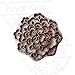 Popular Wooden Block Brass Floral Designs Clay Printing Stamp BSCtag041