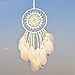 Dremisland Dream Catcher Handmade Traditional White Feather Wall Hanging Wall Art Home Decoration Ornament Decor Ornament Craft Gift