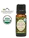 US Organic 100% Pure Cinnamon Leaf Essential Oil - USDA Certified Organic, Steam Distilled - W/Euro Dropper (More Size Variations Available) (10 ml / .33 fl oz)