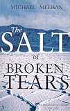 Front cover for the book The Salt of Broken Tears by Michael Meehan