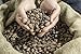 Wild Raw Nibs, Raw Cacao Nibs From Organically Grown Cocoa - Single-Origin, Gluten-Free, NON-GMO Superfood - Baking, Smoothies, Recipes, Snacking (8 ounce)
