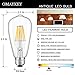 OMAYKEY LED Edison Bulb 6W (60W Equivalent) 3000K Soft White 600 Lumens, E26 Medium Base Dimmable ST64 Vintage Edison Light Bulbs, 360 Degree Beam Angle, 3 Pack