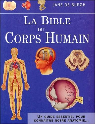Amazon Fr La Bible Du Corps Humain Un Guide Essentiel Pour Connaitre Notre Anatomie Burgh Jane De Leibovici Antonia Livres