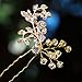 Yean Gold Wedding Hair Pin Vintage Leaf and Flower Bridal Hair Clips Pins for Brides and Bridesmaids (Set of 2)