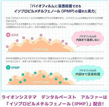 Amazon ライオン システマ デンタルペーストa アルファ 5本セット 医薬部外品 ライオン Lion 大人用ハミガキ粉 通販