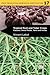 Tropical Root and Tuber Crops: Cassava, Sweet Potato, Yams, Aroids (Crop Production Science in Horticulture)