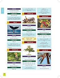The Clear Quran Series Dictionary