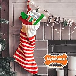 Nylabone Power Chew Holiday Dinosaur Chew Toy for