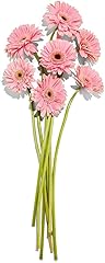 FLORAL Gerbera Daisy Bunch, 1 EA