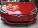 Edwin Group of Companies Tesla Logo Sticker Model X. Nose Cone Front Emblem T Decal Sticker Vinyl. RED Buy