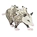 Safari Ltd Wild Safari North American Wildlife Opossum with Babies