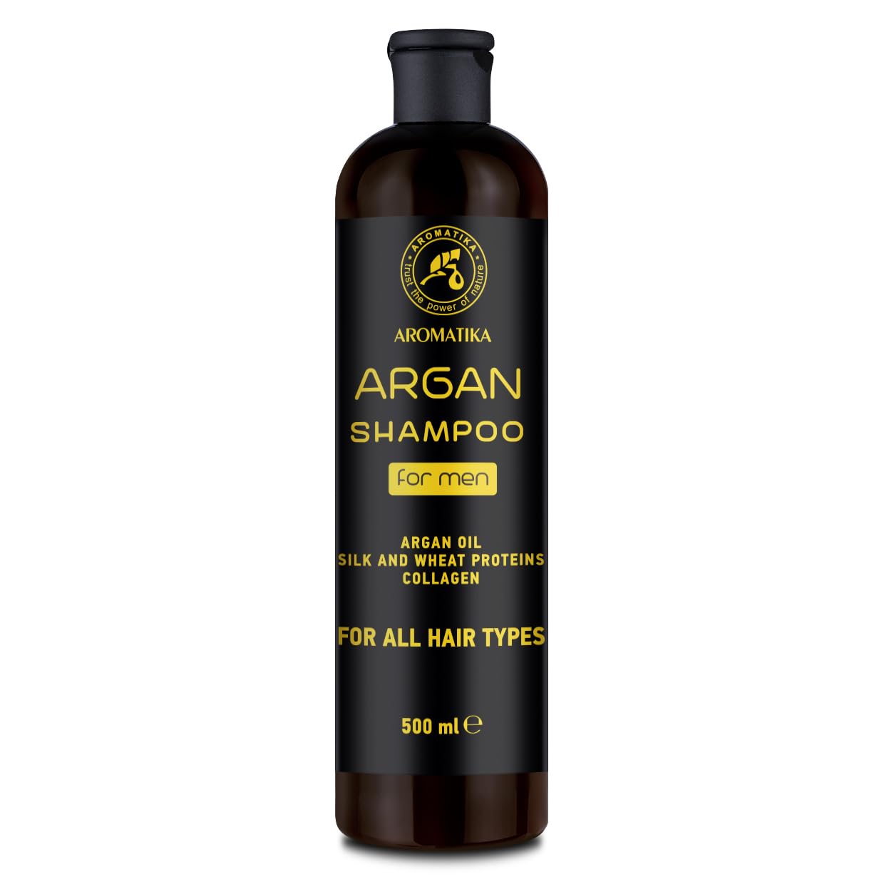 Argan Shampoo for Men 500ml - Shampoo with Argan Oil - Silk and Wheat Proteins - Soft and Supple Hair - Hair and Scalp Care - Fresh Aroma - Moisturising - All hair types