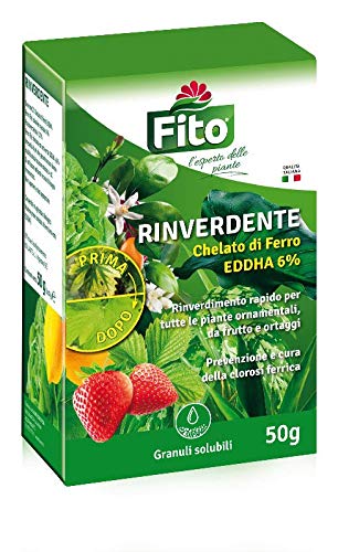 guaber 797500 – rinverdente Micro, 10 x 5g