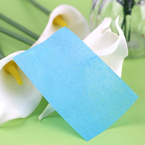 Baynne 50 Pcs Facial Oil Control Absorption Film Tissue Makeup Blotting Paper